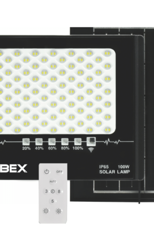 Proiettore con pannello solare a batteria con telecomando Alfaworld